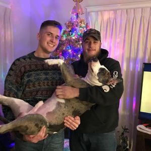 Meet your Posher, Allan